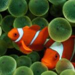 Foto del profilo di admin